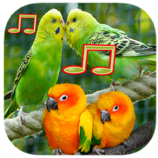 Birds Sounds and Ringtone 1.0.2 Icon