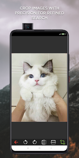 Reversify–Reverse Image Search Screen 2