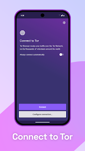 Tor Browser 1