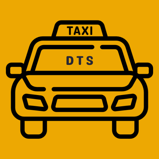 Delhi Travel Service(Original) logo
