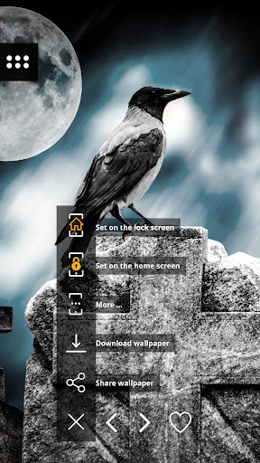Wallpapers 4K with birds Screen 2