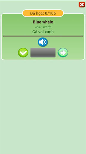 Từ vựng tiếng anh cơ bản