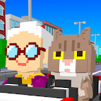 Kart Party