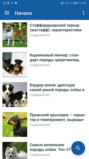 App preview