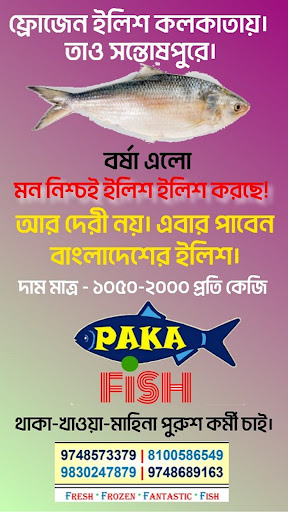 Android application Paka Fish screenshort