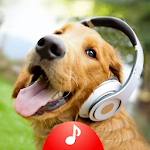 Cover Image of Download Animal Sounds Ringtones 4.23 APK