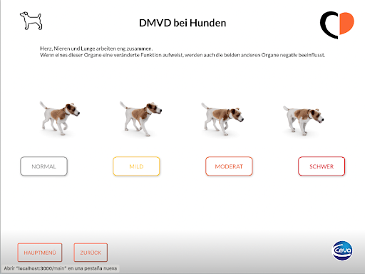 Canine DMVD Screen 2