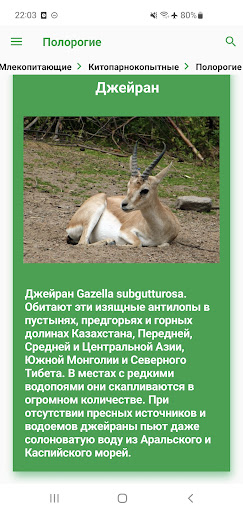 Животные Эмиратов