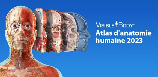 Atlas d'anatomie humaine 2024