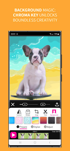 Toonita Video: Pop Art Filters Screenshot