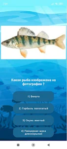 Разновидности рыб