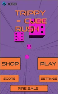 Trippy Cube Rush