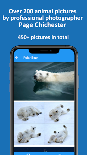 Arctic Wildlife Guide Screen 3