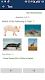 screenshot of Learn Animal names (3  in 1)