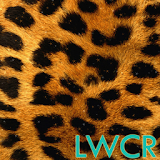 leopard print live wallpaper icon
