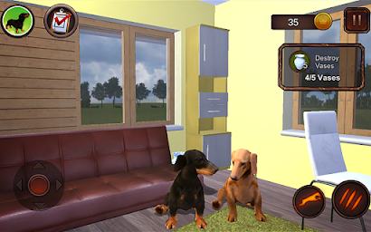 Dachshund Dog Simulator