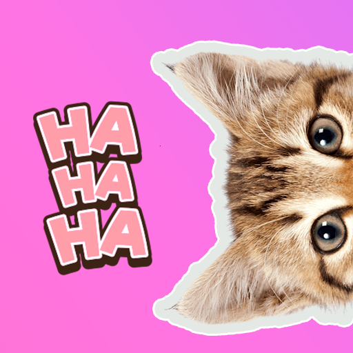 Kitten Cat WhatsApp Stickers logo