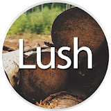 Lush - CM11 Theme icon