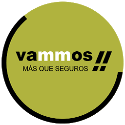 Icon image VAMMOS