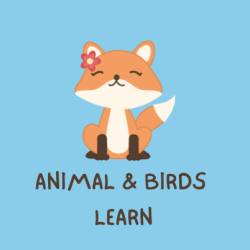 Learn animals and birds logo
