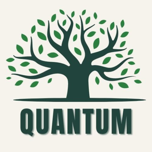 Quantum logo