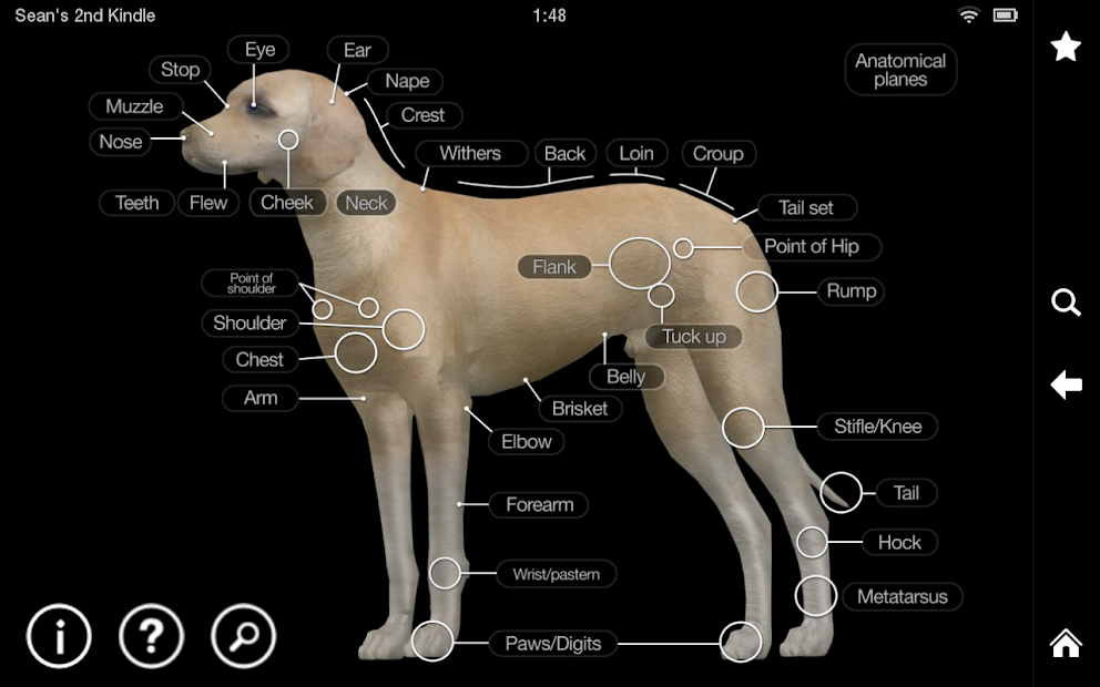 Captura de Pantalla 7 Dog Anatomy: Canine 3D android
