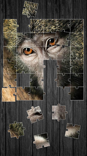 Wildlife Jigsaw Puzzle