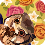 Cover Image of Tải xuống Owl & Flower:Color Master Colo  APK