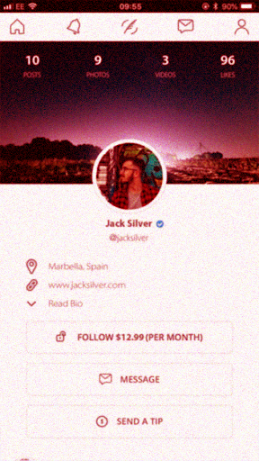 Onlyfans bio tips