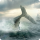 Moby Dick: Wild Hunting Laai af op Windows