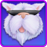 Cool Cat Toys icon