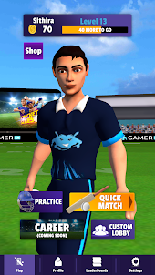 Cricket Sixes