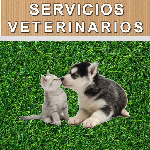 SERVICIOS VETERINARIOS