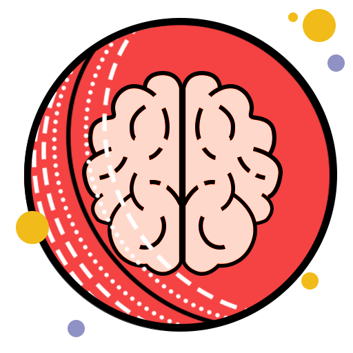Brain Games Cricket Edition