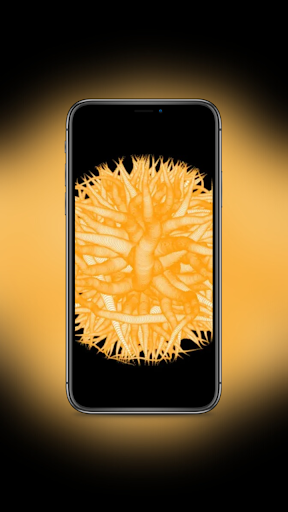 Android application Xiaomi Redmi Note 13 Pro Plus screenshort
