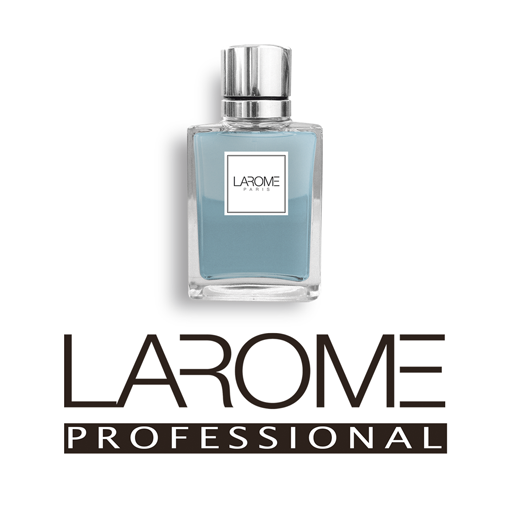 LAROME PROFESSIONALS logo