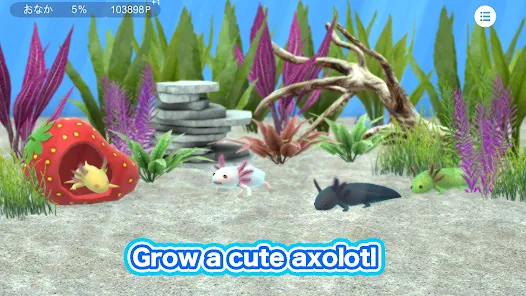 My Axolotl Aquarium 3