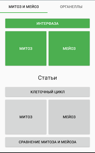 Предварительный просмотр приложения