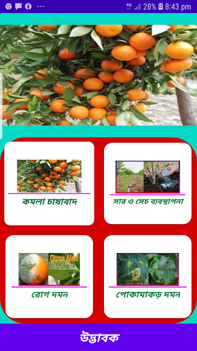 Android application কমলা চাষাবাদ~Orange screenshort