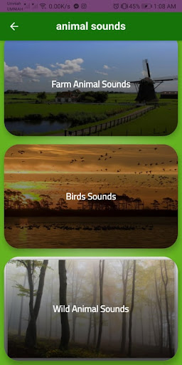 Animal sounds of all kinds Screen 2