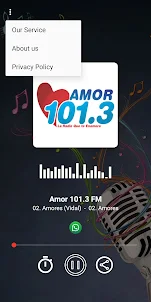 Amor 101.3 FM