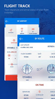 screenshot of AnadoluJet Cheap Flight Ticket