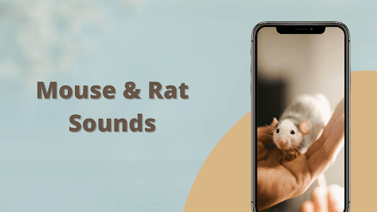 Mouse and Rat sounds Unknown