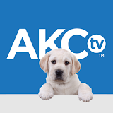 AKC.TV icon