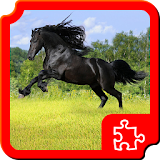 Beautiful Horses Puzzles icon