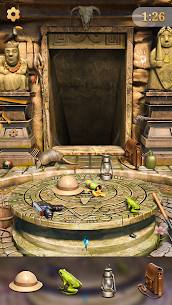 Hidden Objects: Puzzle Quest 4