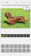 screenshot of Dogs Quiz - Guess All Breeds!