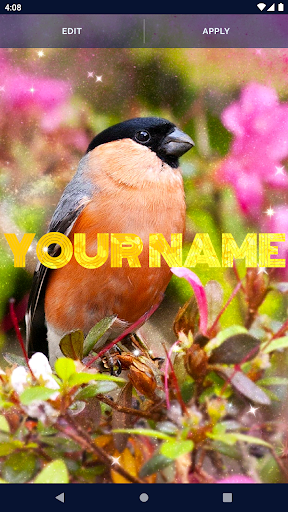 Bird Parrots HD Live Wallpaper Screen 2