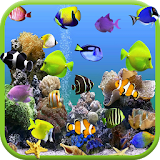 Aquarium Video Live Wallpaper icon