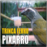 Canto Trinca Ferro Pixarro HD icon